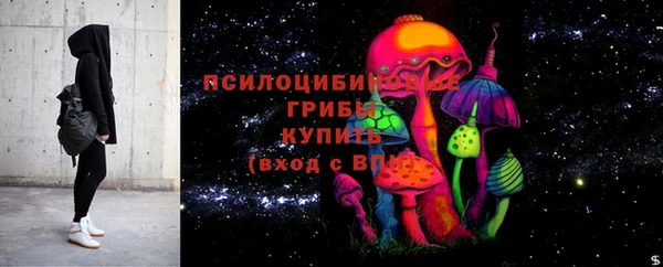 амф Балахна